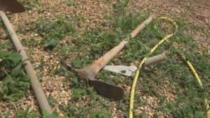 Pedreiro morre após ser atingido por golpes de picareta em Sinop; suspeito está foragido