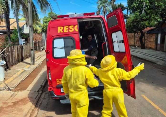 Homem é atacado por enxame de abelhas e socorrido pelos Bombeiros em Sinop