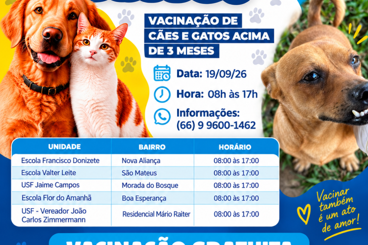 ChatGPT Image 14 de set. de 2026, 11_40_29