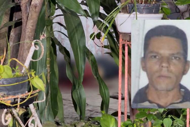 Jardim Noturno com Retrato em Destaque